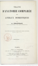 Serie-C- Chauveau,A. - Anatomie des animaux domestique